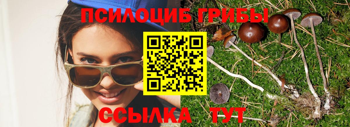 Псилоцибиновые грибы MAGIC MUSHROOMS  Вход с VPN  Кушва 